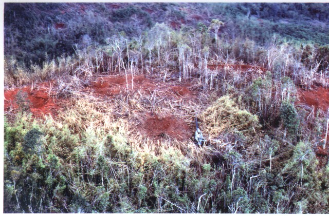 The flight path coming into the LZ was from the lower left corner of the photo