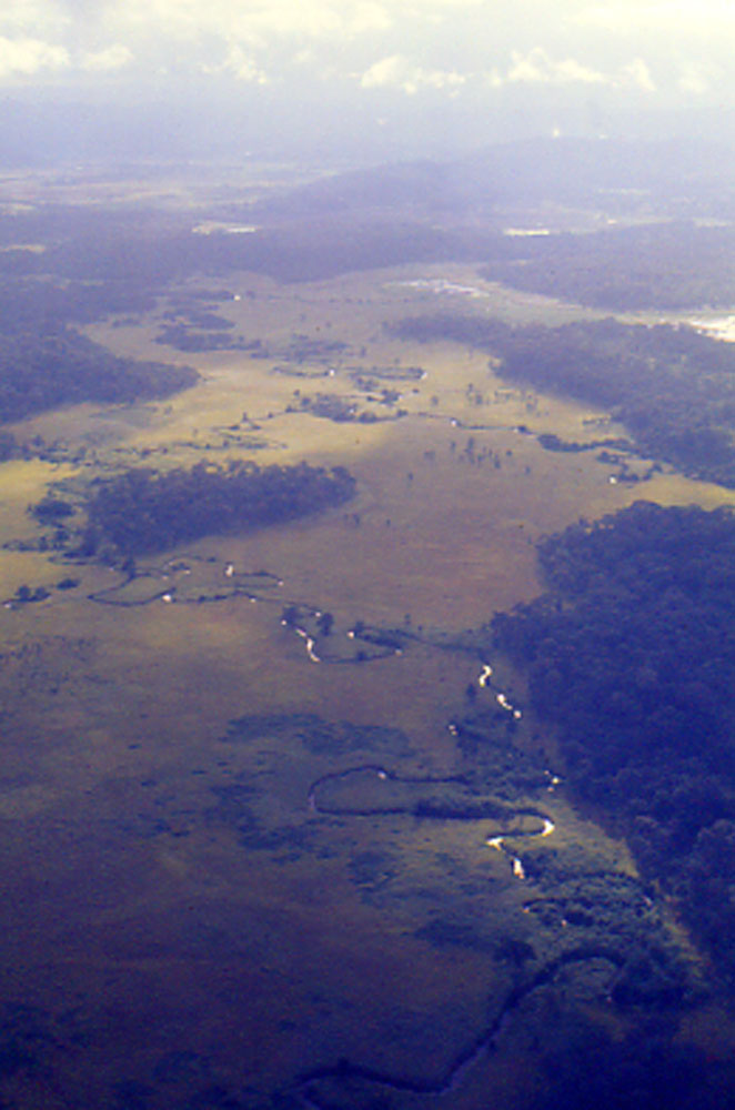 Meandering Stream