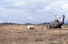 1st AL Plt  preparing to spray.  ROK soldier is walking towards aircraft